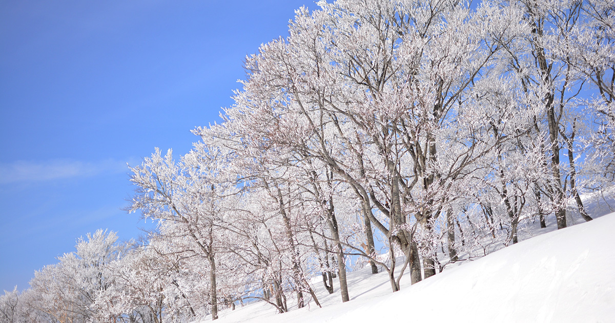 2月のイメージは?記念日をまとめて紹介