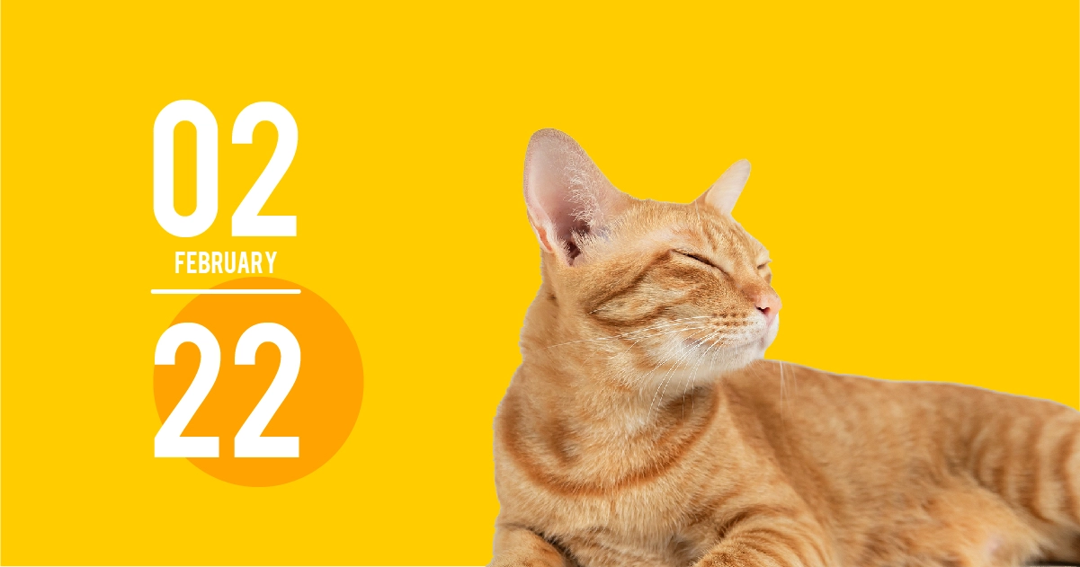 2月22日は「猫の日」「温泉マークの日」や「スニーカーの日」など！記念日一覧